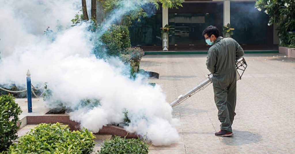 Proses Pengendalian Hama dengan Menggunakan Gas