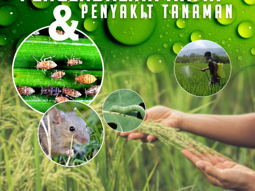Solusi Lengkap untuk Lingkungan Bebas Hama