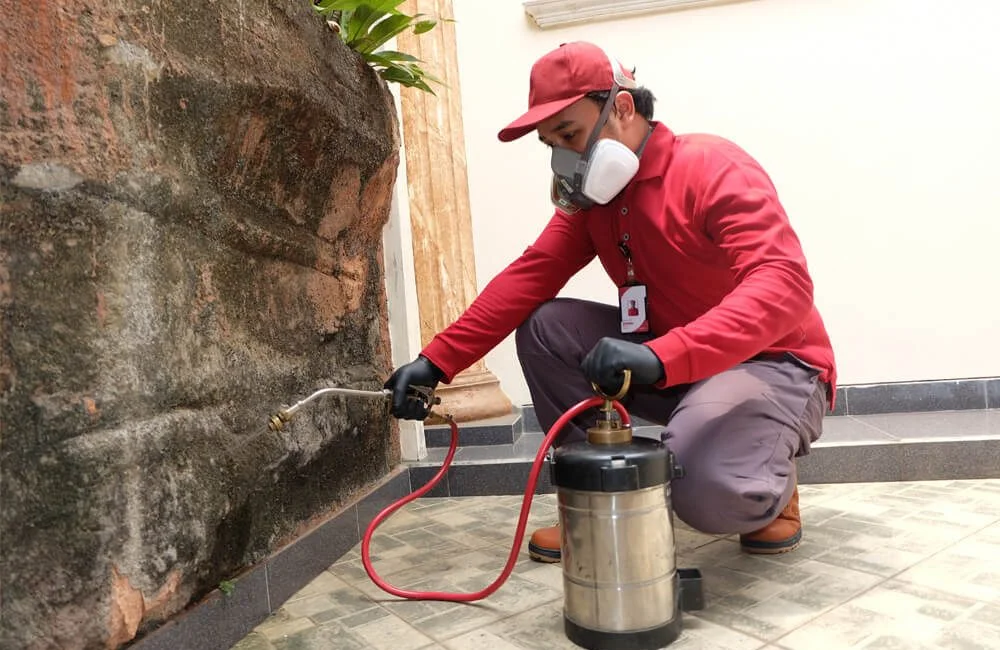 Profesional dalam Pengendalian Hama dan Fumigasi di Indonesia